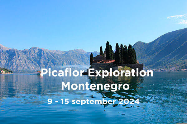 expeditie montenegro